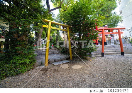 田無神社の鳥居【日本イメージ】 田無神社の鳥居【日本イメージ】 101256474