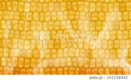 Hot sweet corn pattern yellow background with steam. Boiled maize cob healthy vegetarian food vegetable vector sammer cooking background Hot sweet corn pattern yellow background with steam. Boiled maize cob healthy vegetarian food vegetable vector sammer cooking background 101256942