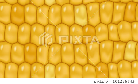Sweet corn seamless pattern background for yellow page fill, wrapping paper. Fresh maize cob seamless texture. Healthy vegetarian food vegetable vector agricultural background Sweet corn seamless pattern background for yellow page fill, wrapping paper. Fresh maize cob seamless texture. Healthy vegetarian food vegetable vector agricultural background 101256943