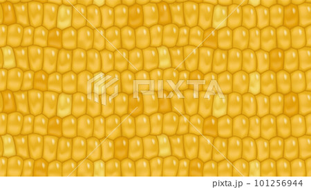 Sweet corn seamless pattern background for yellow page fill, wrapping paper. Fresh maize cob seamless texture. Healthy vegetarian food vegetable vector agricultural background 101256944