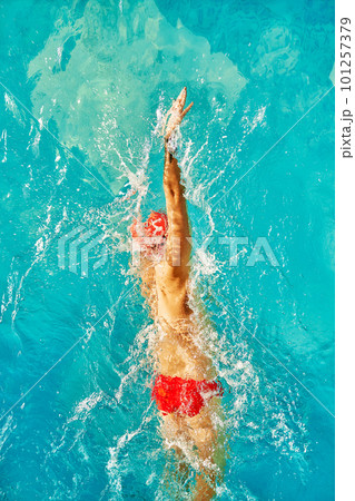 Aerial Top View Male Swimmer Swimming in Swimming Pool. Professional Athlete Training for the Championship, using Front Crawl, Freestyle Technique. Top View Shot 101257379