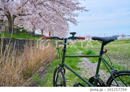サイクリング　自転車　ミニベロ　休日　満開の桜と自転車 101257704