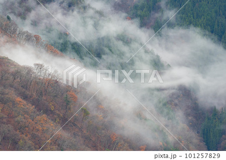 霧に覆われた紅葉する山 霧に覆われた紅葉する山 101257829