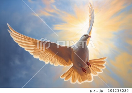 Dove fly in sunny light. Creative sunset. Generate Ai 101258086