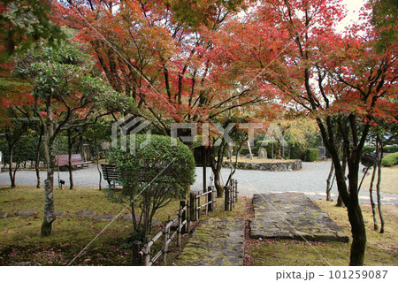 龍野のまちなみ 秋の龍野公園の紅葉谷の聚遠亭の庭園 苔むす庭園と石畳 兵庫県たつの市龍野町 龍野のまちなみ 秋の龍野公園の紅葉谷の聚遠亭の庭園 苔むす庭園と石畳 兵庫県たつの市龍野町 101259087