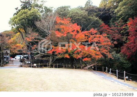 龍野のまちなみ　秋の龍野公園の紅葉谷の聚遠亭の庭園　心字池と橋　兵庫県たつの市龍野町 101259089