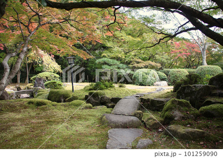 龍野のまちなみ　秋の龍野公園の紅葉谷の聚遠亭の庭園　苔むす庭園と石畳　兵庫県たつの市龍野町 101259090