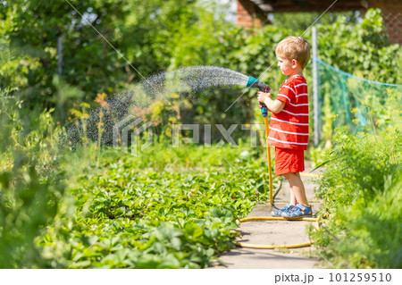 Child watering flowers and plants in garden. Little boy gardening Child watering flowers and plants in garden. Little boy gardening 101259510