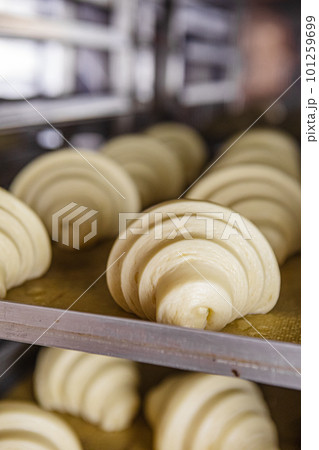 Proofed croissants on baking sheet 101259699