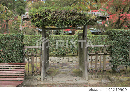 龍野のまちなみ 秋の聚遠亭 御涼所(別館) 庭園と冠木門(歌舞伎門) 兵庫県たつの市龍野町 龍野のまちなみ 秋の聚遠亭 御涼所(別館) 庭園と冠木門(歌舞伎門) 兵庫県たつの市龍野町 101259900