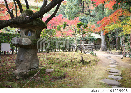 龍野のまちなみ 秋の聚遠亭 御涼所(別館) 庭園 石灯籠 兵庫県たつの市龍野町 龍野のまちなみ 秋の聚遠亭 御涼所(別館) 庭園 石灯籠 兵庫県たつの市龍野町 101259903