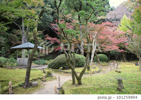 龍野のまちなみ 秋の聚遠亭 御涼所(別館) 庭園 遊歩道と東屋(四阿) 兵庫県たつの市龍野町 龍野のまちなみ 秋の聚遠亭 御涼所(別館) 庭園 遊歩道と東屋(四阿) 兵庫県たつの市龍野町 101259904