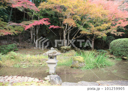 龍野のまちなみ 秋の聚遠亭 御涼所(別館) 庭園 池と石灯籠 兵庫県たつの市龍野町 龍野のまちなみ 秋の聚遠亭 御涼所(別館) 庭園 池と石灯籠 兵庫県たつの市龍野町 101259905