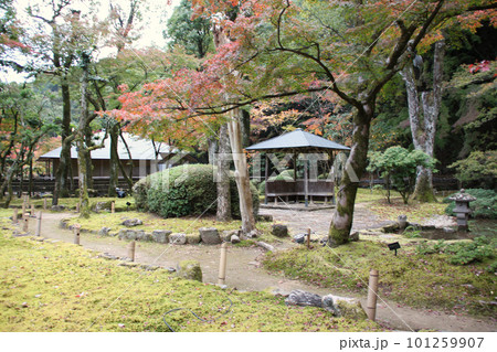 龍野のまちなみ　秋の聚遠亭 御涼所(別館) 庭園　池と石灯籠と東屋(四阿)　兵庫県たつの市龍野町 101259907