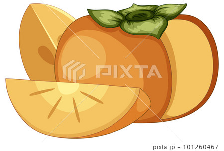 Persimmon fruit cartoon isolated Persimmon fruit cartoon isolated 101260467