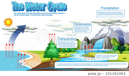 The water cycle diagram for science education The water cycle diagram for science education 101261063