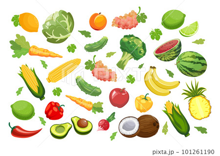 Big set of fruits and vegetables. Food, agriculture illustration, vector 101261190