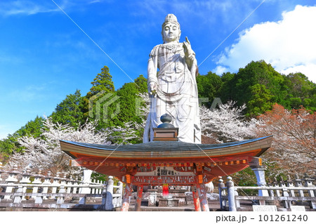 【奈良県】桜が満開の壺阪寺（大観音石像） 101261240