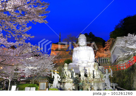 【奈良県】桜が満開の壺阪寺の夜景(桜大仏) 【奈良県】桜が満開の壺阪寺の夜景(桜大仏) 101261260