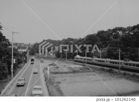小田急・百合ヶ丘ー柿生間の旧線を走る3100形NSE車、1973年6月16日、新線工事中です 101262140