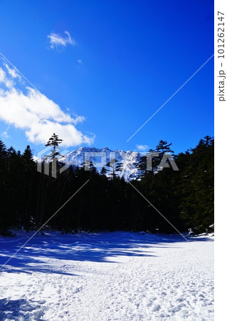 八ヶ岳　冬のみどり池と硫黄岳 101262147