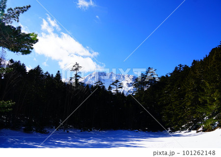 八ヶ岳　冬のみどり池と硫黄岳 101262148