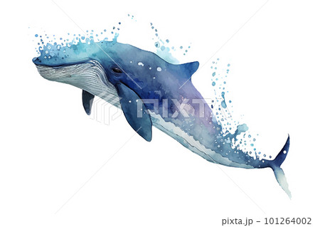 Blue whale vector art isolated on white background Ocean fauna Cartoon nautical illustration Marine style for greeting card logo or decoration 101264002