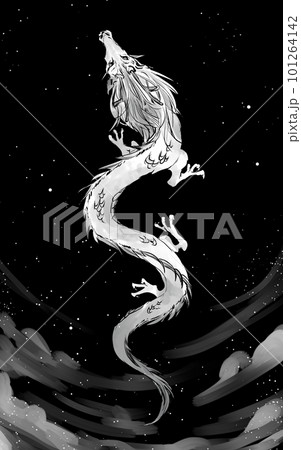夜空に昇る白龍 夜空に昇る白龍 101264142