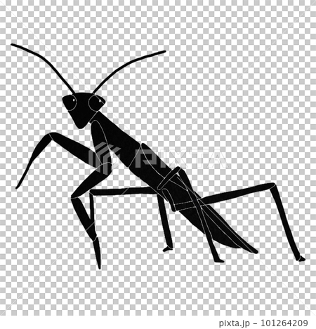 横から見たカマキリのシルエット、モノクロ 101264209
