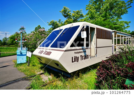 百合が原公園内を走るリリートレイン　(北海道札幌市北区) 101264775