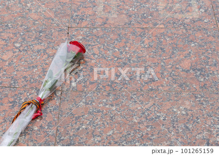 carnations and St. George ribbon, on the background of the monument 101265159