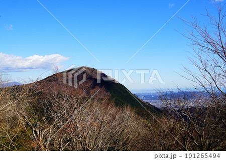南足柄市　足柄万葉公園付近から見る矢倉岳 101265494