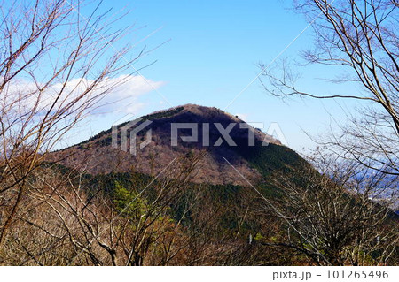 南足柄市 足柄万葉公園付近から見る矢倉岳 南足柄市 足柄万葉公園付近から見る矢倉岳 101265496