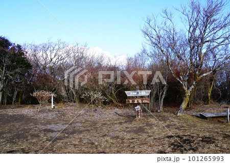 南足柄市 矢倉岳 山頂 南足柄市 矢倉岳 山頂 101265993