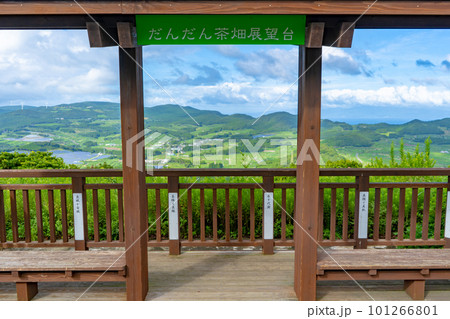 大野岳だんだん茶畑展望台の風景 101266801