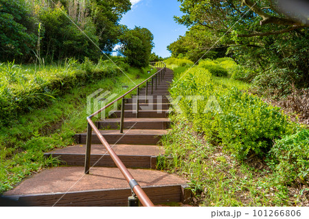 大野岳の茶寿階段の風景 大野岳の茶寿階段の風景 101266806