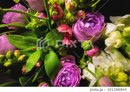 Beautiful tender blooming dark purple and green flowers texture, close-up top view 101266844