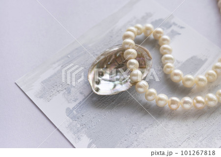 天然パールと貝殻 天然パールと貝殻 101267818