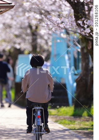 自転車で通勤する学校の先生 自転車で通勤する学校の先生 101268106
