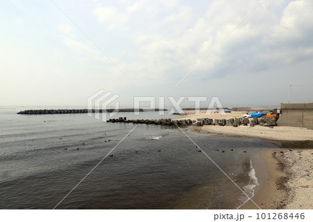 浜の散歩道 藤江川河口風景(兵庫県 明石市) 浜の散歩道 藤江川河口風景(兵庫県 明石市) 101268446
