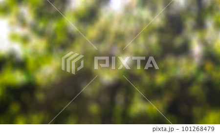 Creative blurred backdrop of green trees, bushes and grass with shadows and sunlight. Springtime. 101268479