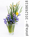 Spring flowers on white background 101268618