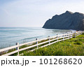 Wooden fence by the sea 101268620