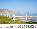 Wooden fence by the sea 101268621