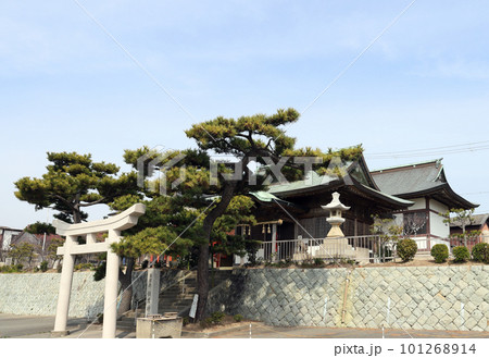 江井ヶ島 西江井の住吉神社(兵庫県 明石市) 江井ヶ島 西江井の住吉神社(兵庫県 明石市) 101268914