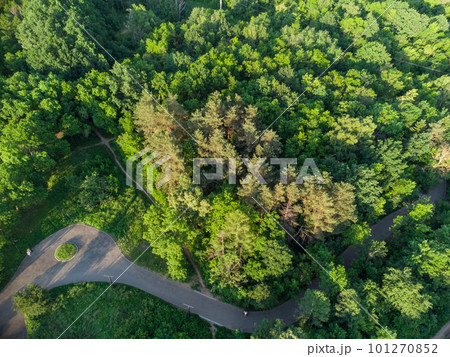 Green vivid trees greenery in city park aerial Green vivid trees greenery in city park aerial 101270852