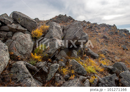 Many large rocky stones on a hillside. Rare bushes of grass between the stones. Clouds in the sky. Many large rocky stones on a hillside. Rare bushes of grass between the stones. Clouds in the sky. 101271166