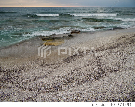 Shell coast of the Caspian Sea. 101271594