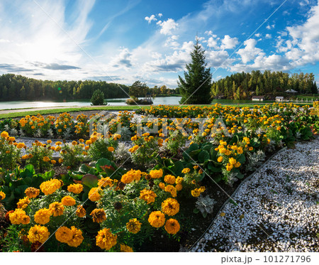 Summer landscape of lake with crystal and fresh water Aya Summer landscape of lake with crystal and fresh water Aya 101271796
