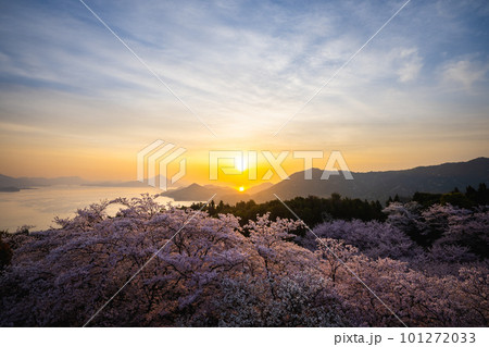 桜咲く開山公園から望む日の出 101272033